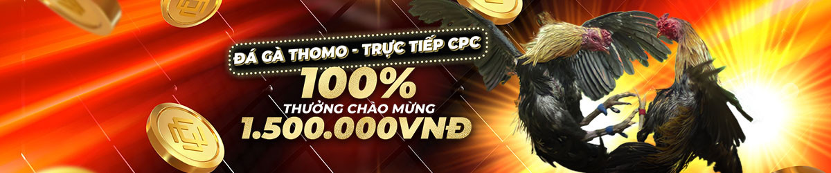 gamebaimcw.com ĐÁ GÀ THOMO 100% Thưởng Nạp Lần Đầu